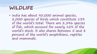 WILDLIFE
• India has about 90,000 animal species,
2,000 species of birds which constitute 13%
of the world’s total. There are 2,546 species
of fish, which account for nearly 12% of the
world’s stock. It also shares between 5 and 8
percent of the world’s amphibians, reptiles
and mammals.
 