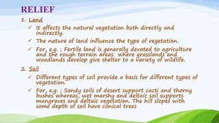 RELIEF
1. Land
 It affects the natural vegetation both directly and
indirectly.
 The nature of land influence the type of vegetation.
 For, e.g. ; Fertile land is generally devoted to agriculture
and the rough terrain areas where grasslands and
woodlands develop give shelter to a variety of wildlife.
2. Soil
 Different types of soil provide a basis for different types of
vegetation.
 For, e.g. ; Sandy soils of desert support cacti and thorny
bushes whereas, wet marshy and deltaic soil supports
mangroves and deltaic vegetation. The hill slopes with
some depth of soil have conical trees
 