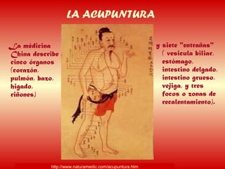 LA ACUPUNTURA
La médicina
China describe
cinco órganos
(corazón,
pulmón, bazo,
higado,
riñones)
y siete "entrañas"
( vesicula biliar,
estómago,
intestino delgado,
intestino grueso,
vejiga, y tres
focos o zonas de
recalentamiento).
http://www.naturamedic.com/acupuntura.htm
 