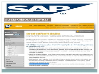 SAP ERP CORPORATE SERVICES
 