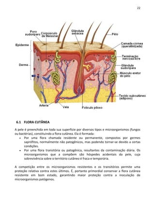 22




 6.1 FLORA CUTÂNEA

A pele é preenchida em toda sua superfície por diversos tipos e microorganismos (fungos
ou bactérias), constituindo a flora cutânea. Ela é formada:
   • Por uma flora chamada residente ou permanente, compostos por germes
       saprófitos, normalmente não patogênicos, mas podendo tornar-se devido a certas
       condições.
   • Por uma flora transitória ou patogênica, resultantes da contaminação diária. Os
       microorganismos que a compõem são hóspedes acidentais da pele, cuja
       sobrevivência sobre o território cutâneo é fraca e temporária.

A competição entre os microorganismos resistentes e os transitórios permite uma
proteção relativa contra estes últimos. É, portanto primordial conservar a flora cutânea
resistente em bom estado, garantindo maior proteção contra a inoculação de
microorganismos patógenos.
 