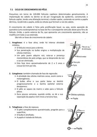 33

 7.1 CICLO DE CRESCIMENTO DO PÊLO

Possuímos em torno de 120.000 folículos capilares determinados geneticamente. A
implantação do cabelo na derme se dá por invaginação da epiderme, constituindo o
folículo capilar, tendo uma dilatação terminal, o bulbo capilar, contendo no centro a papila
dérmica, recobrindo a papila, estão às células que formam a raiz do cabelo.

O crescimento do cabelo é feito pela proliferação basal, ou seja, existe aposição de
queratina (uma escleroproteína) na base do fio e conseqüente extrusão deste para fora do
folículo. Então, a parte externa do fio, que apresenta um crescimento aparente, não se
modifica em toda a sua extensão.
       São três as fases de crescimento do cabelo:

1. Anagênese: é a fase ativa, onde há intensa atividade
   mitótica.
        O folículo cresce para a derme.
        Sua penetração no bulbo origina a multiplicação de
        células matrizes;
        Um pelo jovem adquire raiz; nota-se a presença
        momentânea do pelo antigo, que se desprende da raiz
        e vai ser eliminado.
        Esta fase dura aproximadamente de 2 a 5 anos e
        cresce 0,4 mm por dia.


2. Catagênese: também chamada de fase de regressão.
        A atividade das células matrizes cessa, assim como a
        melanogênese;
        O bulbo afina e sua parte baixa se destrói
        progressivamente e a bainha epitelial externa
        desaparece;
        O pêlo se separa da matriz e sobe para o folículo
        piloso.
        Dura poucas semanas, quando então, se dá a sua
        separação da papila e tem inicio a terceira fase.



3. Telogênese: a fase de repouso.
        O pêlo completamente queratinizado, progride para a
        superfície;
        O bulbo é atrofiado;
        A papila é isolada do folículo.
 
