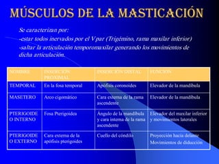 músculos de la masticación 
m  sculos de la masticaci  n 
 ú                       ó 
   Se caracterizan por: 
   ­estar todos inervados por el V par (Trigémino, rama maxilar inferior) 
   ­saltar la articulación temporomaxilar generando los movimientos de 
   dicha articulación. 

NOMBRE        INSERCIÓN               INSERCIÓN DISTAL           FUNCIÓN 
              PROXIMAL 
TEMPORAL      En la fosa temporal     Apófisis coronoides        Elevador de la mandíbula 

MASETERO      Arco cigomático         Cara externa de la rama    Elevador de la mandíbula 
                                      ascendente 

PTERIGOIDE    Fosa Pterigoidea        Ángulo de la mandíbula  Elevador del maxilar inferior 
O INTERNO                             y cara interna de la rama  y movimientos laterales 
                                      ascendente 

PTERIGOIDE    Cara externa de la      Cuello del cóndilo         Proyección hacia delante 
O EXTERNO     apófisis pterigoides                               Movimientos de diducción 
 