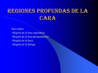 regiones profundas de la 
          cara 
 Son cuatro: 
 lRegión de la fosa cigomática 
 lRegión de la fosa pterigomaxilar 
 lRegión de la boca 
 lRegión de la faringe
 