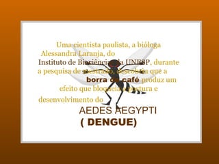 Uma cientista paulista, a bióloga
 Alessandra Laranja, do
Instituto de Biociências da UNESP, durante
a pesquisa de mestrado, descobriu que a
                borra de café produz um
       efeito que bloqueia a postura e
desenvolvimento do
            AEDES AEGYPTI
            ( DENGUE)
 