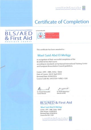 Wael First aid training certeficate