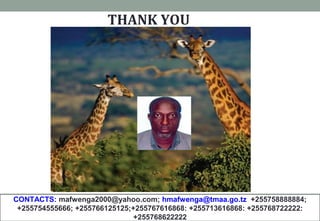 www.mem.go.tz
THANK YOU
CONTACTS: mafwenga2000@yahoo.com; hmafwenga@tmaa.go.tz +255758888884;
+255754555666; +255766125125;+255767616868: +255713616868: +255768722222:
+255768622222
 