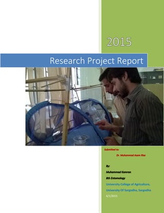 6/1/2015
Research Project Report
 