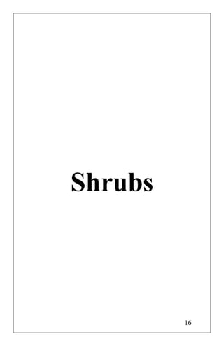 Shrubs
16
 