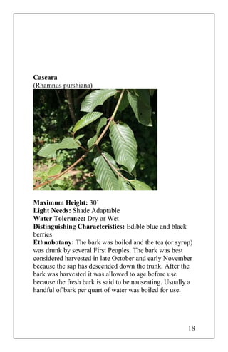 Cascara
(Rhamnus purshiana)
Maximum Height: 30’
Light Needs: Shade Adaptable
Water Tolerance: Dry or Wet
Distinguishing Characteristics: Edible blue and black
berries
Ethnobotany: The bark was boiled and the tea (or syrup)
was drunk by several First Peoples. The bark was best
considered harvested in late October and early November
because the sap has descended down the trunk. After the
bark was harvested it was allowed to age before use
because the fresh bark is said to be nauseating. Usually a
handful of bark per quart of water was boiled for use.
18
 