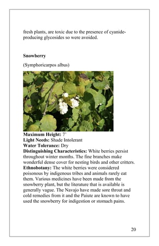 fresh plants, are toxic due to the presence of cyanide-
producing glycosides so were avoided.
Snowberry
(Symphoricarpos albus)
Maximum Height: 7’
Light Needs: Shade Intolerant
Water Tolerance: Dry
Distinguishing Characteristics: White berries persist
throughout winter months. The fine branches make
wonderful dense cover for nesting birds and other critters.
Ethnobotany: The white berries were considered
poisonous by indigenous tribes and animals rarely eat
them. Various medicines have been made from the
snowberry plant, but the literature that is available is
generally vague. The Navajo have made sore throat and
cold remedies from it and the Paiute are known to have
used the snowberry for indigestion or stomach pains.
20
 