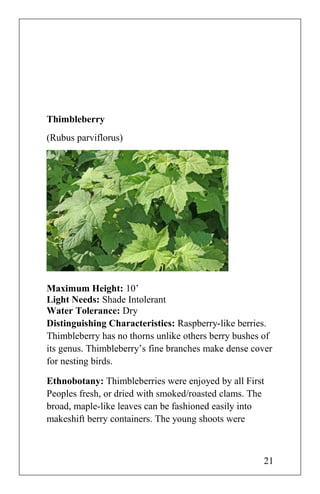 Thimbleberry
(Rubus parviflorus)
Maximum Height: 10’
Light Needs: Shade Intolerant
Water Tolerance: Dry
Distinguishing Characteristics: Raspberry-like berries.
Thimbleberry has no thorns unlike others berry bushes of
its genus. Thimbleberry’s fine branches make dense cover
for nesting birds.
Ethnobotany: Thimbleberries were enjoyed by all First
Peoples fresh, or dried with smoked/roasted clams. The
broad, maple-like leaves can be fashioned easily into
makeshift berry containers. The young shoots were
21
 