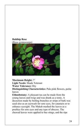 Baldhip Rose
(Rosa gymnocarpa)
Maximum Height: 7’
Light Needs: Shade Tolerant
Water Tolerance: Dry
Distinguishing Characteristics: Pale pink flowers, petite
leaves
Ethnobotany: A pleasant tea can be made from the
young leaves and twigs and was drunk as a tonic. A
decoction made by boiling branches or strips of bark was
used also as an eyewash for sore eyes, for cataracts or to
enhance eyesight. The Makah mashed the leaves as a
poultice for sore eyes and any type of abscess. The
chewed leaves were applied to bee stings, and the ripe
24
 