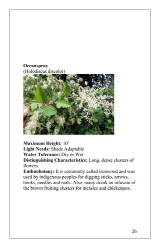 Oceanspray
(Holodiscus discolor)
Maximum Height: 10’
Light Needs: Shade Adaptable
Water Tolerance: Dry or Wet
Distinguishing Characteristics: Long, dense clusters of
flowers.
Enthnobotany: It is commonly called ironwood and was
used by indigenous peoples for digging sticks, arrows,
hooks, needles and nails. Also, many drank an infusion of
the brown fruiting clusters for measles and chickenpox.
26
 