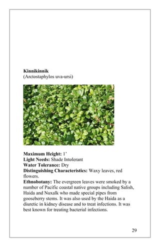 Kinnikinnik
(Arctostaphylos uva-ursi)
Maximum Height: 1’
Light Needs: Shade Intolerant
Water Tolerance: Dry
Distinguishing Characteristics: Waxy leaves, red
flowers.
Ethnobotany: The evergreen leaves were smoked by a
number of Pacific coastal native groups including Salish,
Haida and Nuxalk who made special pipes from
gooseberry stems. It was also used by the Haida as a
diuretic in kidney disease and to treat infections. It was
best known for treating bacterial infections.
29
 