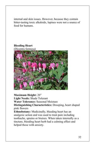 internal and skin issues. However, because they contain
bitter-tasting toxic alkaloids, lupines were not a source of
food for humans.
Bleeding Heart
(Dicentra formosa)
Maximum Height: 20”
Light Needs: Shade Tolerant
Water Tolerance: Seasonal Moisture
Distinguishing Characteristics: Drooping, heart shaped
pink flowers
Ethnobotany: Medicinally, bleeding heart has an
analgesic action and was used to treat pain including
toothache, sprains or bruises. When taken internally as a
tincture, bleeding heart herb had a calming effect and
helped those with anxiety.
32
 