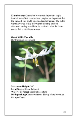 Ethnobotany: Camas bulbs were an important staple
food of many Native American peoples, so important that
the camas fields could be owned and inherited. The bulbs
were harvested while they were blooming or soon
afterward so they would not be confused with the death
camas that is highly poisonous.
Great White Fawnlily
(Erythronium oregonum)
Maximum Height: 30”
Light Needs: Shade Tolerant
Water Tolerance: Seasonal Moisture
Distinguishing Characteristics: Showy white bloom at
the top of stem.
35
 