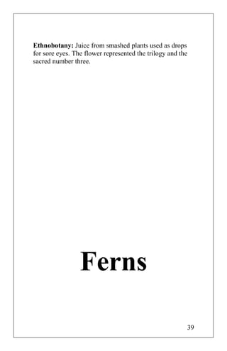 Ethnobotany: Juice from smashed plants used as drops
for sore eyes. The flower represented the trilogy and the
sacred number three.
Ferns
39
 