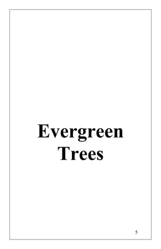 Evergreen
Trees
5
 