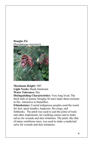 Douglas Fir
(Pseudotsuga menziesii)
Maximum Height: 300’
Light Needs: Shade Intolerant
Water Tolerance: Dry
Distinguishing Characteristics: Very long lived. The
thick bark of mature Douglas fir trees make them resistant
to fire. Attractive to butterflies.
Ethnobotany: Coastal indigenous peoples used the wood
for fuel, spear handles, harpoons, fire tongs, and
fishhooks. The pitch was used to seal the joints of tools
and other implements, for caulking canoes and to make
salves for wounds and skin irritations. The pitch, like that
of many coniferous trees, was used to make a medicinal
salve for wounds and skin irritations.
6
 