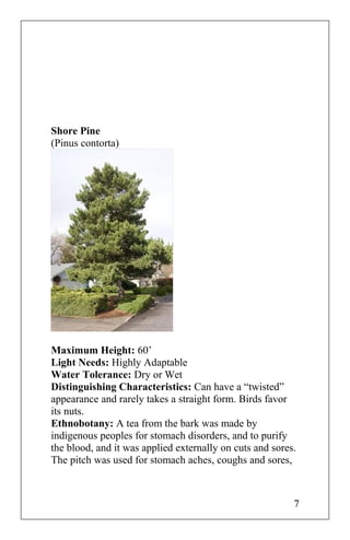 Shore Pine
(Pinus contorta)
Maximum Height: 60’
Light Needs: Highly Adaptable
Water Tolerance: Dry or Wet
Distinguishing Characteristics: Can have a “twisted”
appearance and rarely takes a straight form. Birds favor
its nuts.
Ethnobotany: A tea from the bark was made by
indigenous peoples for stomach disorders, and to purify
the blood, and it was applied externally on cuts and sores.
The pitch was used for stomach aches, coughs and sores,
7
 