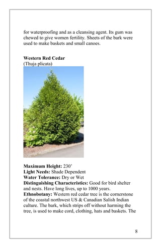 for waterproofing and as a cleansing agent. Its gum was
chewed to give women fertility. Sheets of the bark were
used to make baskets and small canoes.
Western Red Cedar
(Thuja plicata)
Maximum Height: 230’
Light Needs: Shade Dependent
Water Tolerance: Dry or Wet
Distinguishing Characteristics: Good for bird shelter
and nests. Have long lives, up to 1000 years.
Ethnobotany: Western red cedar tree is the cornerstone
of the coastal northwest US & Canadian Salish Indian
culture. The bark, which strips off without harming the
tree, is used to make cord, clothing, hats and baskets. The
8
 