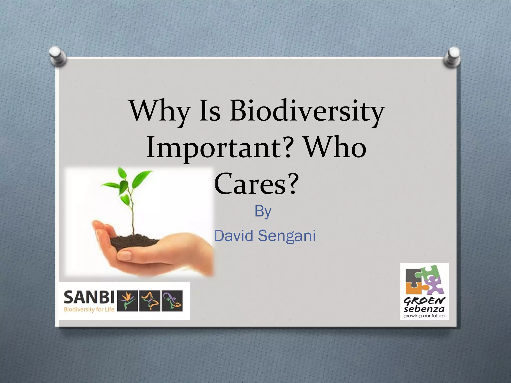 Why Is Biodiversity Important 13062014 | PPT