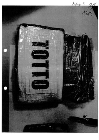 JOSE MANUEL DOMINGUEZ LAGE vernehmung