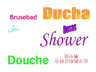 Shower Ducha Douche 在字典和百科全书中找 Dusas Brusebad  دش 