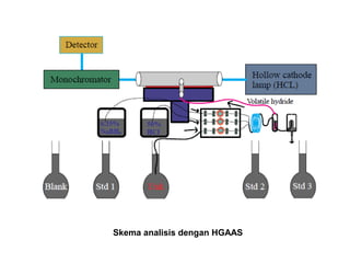 Skema analisis dengan HGAAS