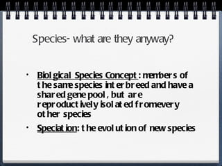 Species- what are they anyway? Biolgical Species Concept : members of the same species interbreed and have a shared gene pool, but are reproductively isolated from every other species Speciation : the evolution of new species 