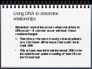 Using DNA to determine relationships Remember: evolution occurs when mutations in DNA occur-- it can not occur without those random changes Therefore, the more closely related animals are, the fewer differences there will be in their DNA This allows new information about DNA to be included in our understanding of how life on Earth evolved 