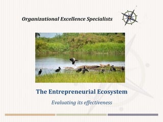 The Entrepreneurial Ecosystem
Evaluating its effectiveness
 
