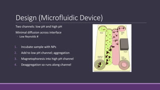 Design (Microfluidic Device)
Two channels: low pH and high pH
Minimal diffusion across interface
◦ Low Reynolds #
1. Incubate sample with NPs
2. Add to low pH channel; aggregation
3. Magnetophoresis into high pH channel
4. Deaggregation so runs along channel
 