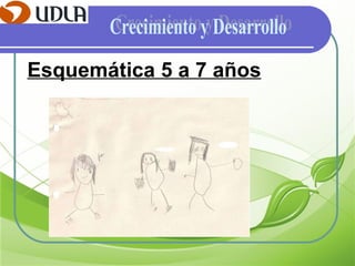 Esquemática 5 a 7 años Crecimiento y Desarrollo 