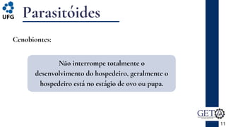 Parasitóides
11
Cenobiontes:
Não interrompe totalmente o
desenvolvimento do hospedeiro, geralmente o
hospedeiro está no estágio de ovo ou pupa.
 