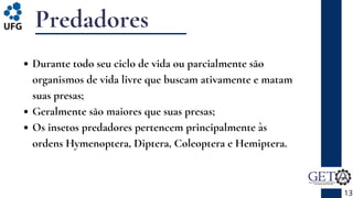 Predadores
13
Durante todo seu ciclo de vida ou parcialmente são
organismos de vida livre que buscam ativamente e matam
suas presas;
Geralmente são maiores que suas presas;
Os insetos predadores pertencem principalmente às
ordens Hymenoptera, Diptera, Coleoptera e Hemiptera.
 
