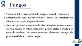 Fungos
Colonizam diversas espécies de pragas, causando epizootias;
Enfermidades que podem causar a morte ou interferir na
alimentação e reprodução de insetos;
Antes de produzir estruturas de disseminação e causar a morte
do hospedeiro, os entomopatógenos podem afetar o inseto por
meio de mudanças no comportamento alimentar, redução de
peso, esterilidade e malformações.
17
 