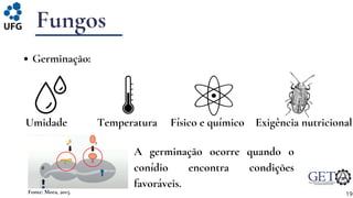 Fonte: Mora, 2015.
Fungos
Germinação:
19
Umidade Temperatura Físico e químico Exigência nutricional
A germinação ocorre quando o
conídio encontra condições
favoráveis.
 