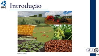 Introdução
03
Fonte: Comex.
 