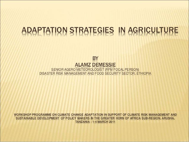 Adaptation dissertation strategic
