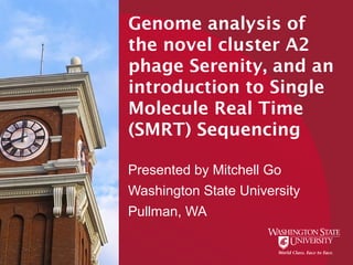 Genome analysis of
the novel cluster A2
phage Serenity, and an
introduction to Single
Molecule Real Time
(SMRT) Sequencing
Presented by Mitchell Go
Washington State University
Pullman, WA
 