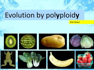 Evolution by polyploidy
Dan Graur
 