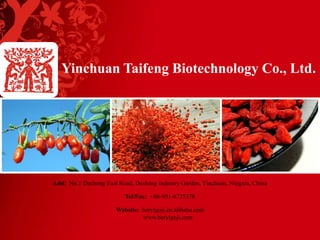 Add: No.1 Decheng East Road, Desheng Industry Garden, Yinchuan, Ningxia, China
Tel/Fax: +86-951-6735378
Website: berylgoji.en.alibaba.com
www.berylgoji.com
Yinchuan Taifeng Biotechnology Co., Ltd.
 