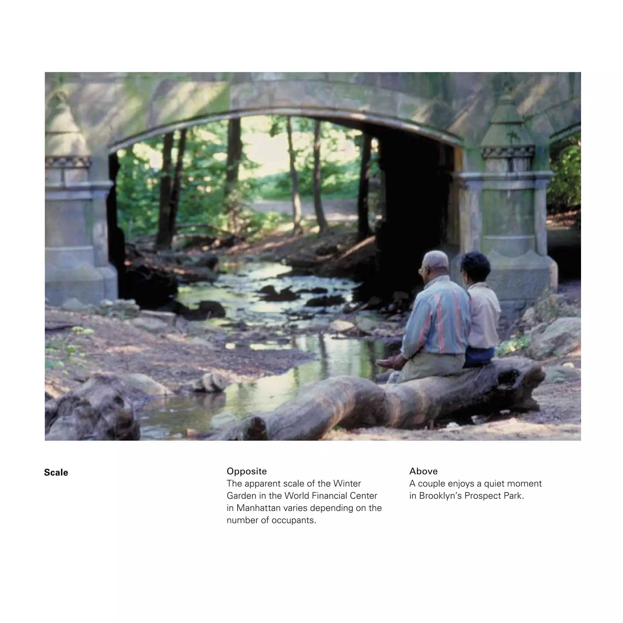 Scale Opposite
The apparent scale of the Winter
Garden in the World Financial Center
in Manhattan varies depending on the
number of occupants.
Above
A couple enjoys a quiet moment
in Brooklyn’s Prospect Park.
 