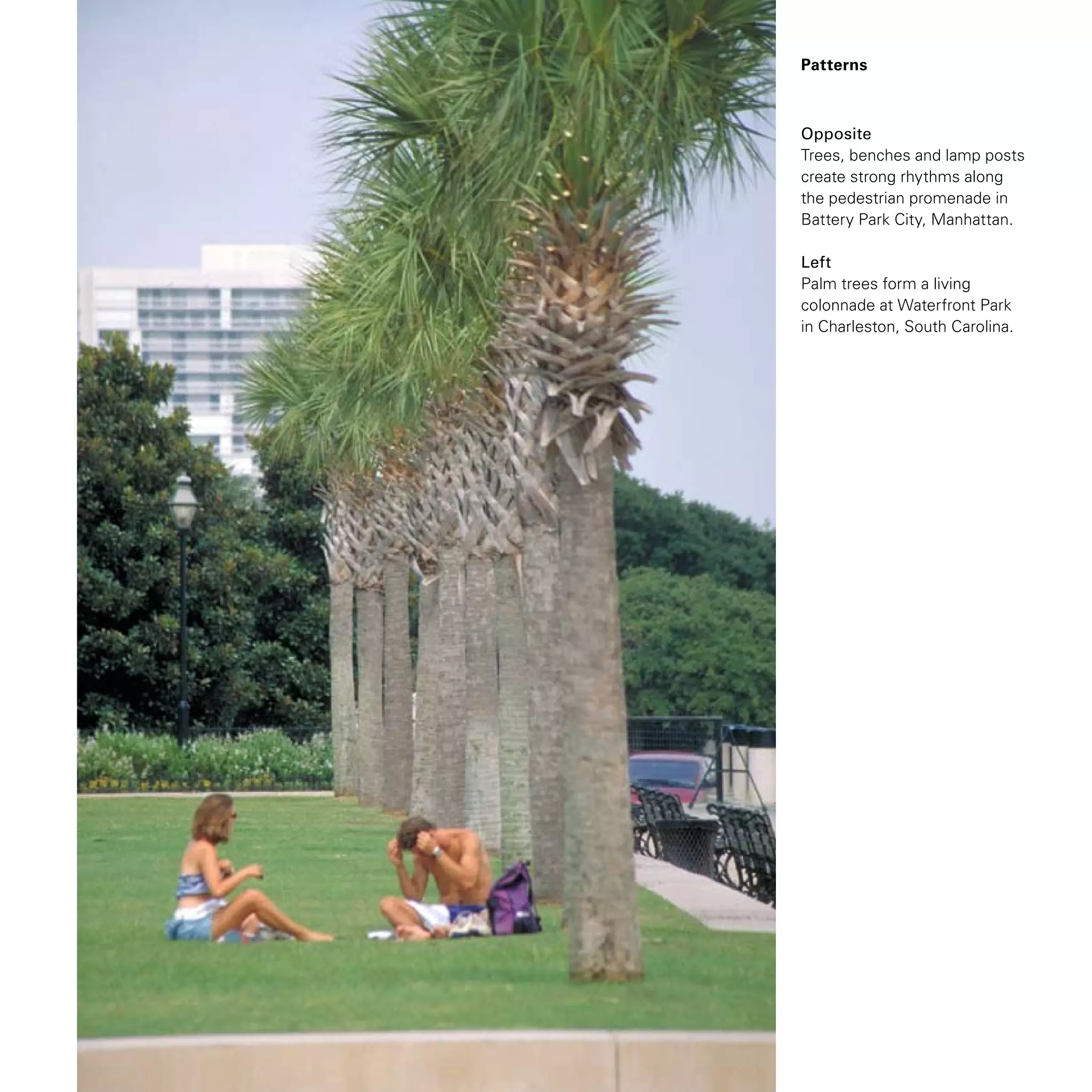 Patterns
Opposite
Trees, benches and lamp posts
create strong rhythms along
the pedestrian promenade in
Battery Park City, Manhattan.
Left
Palm trees form a living
colonnade at Waterfront Park
in Charleston, South Carolina.
 