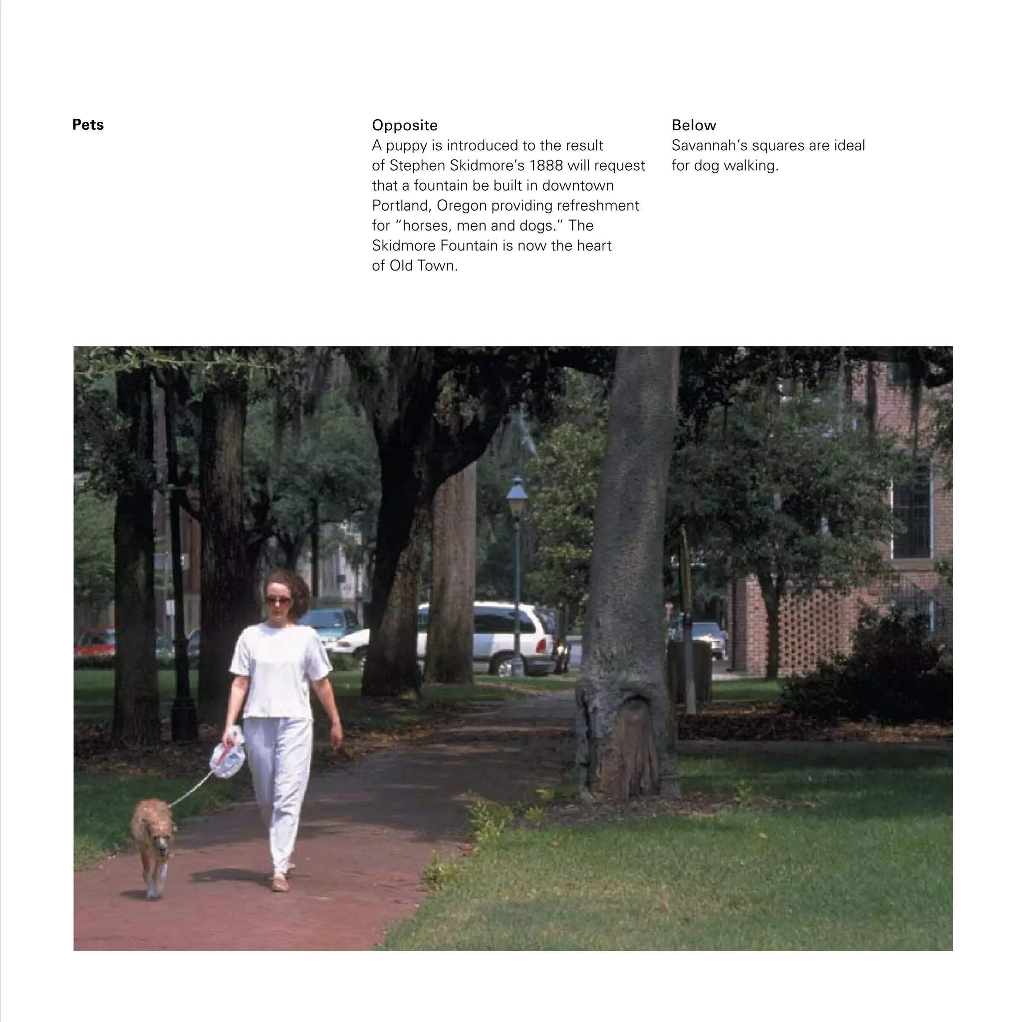 Pets Opposite
A puppy is introduced to the result
of Stephen Skidmore’s 1888 will request
that a fountain be built in downtown
Portland, Oregon providing refreshment
for “horses, men and dogs.” The
Skidmore Fountain is now the heart
of Old Town.
Below
Savannah’s squares are ideal
for dog walking.
 