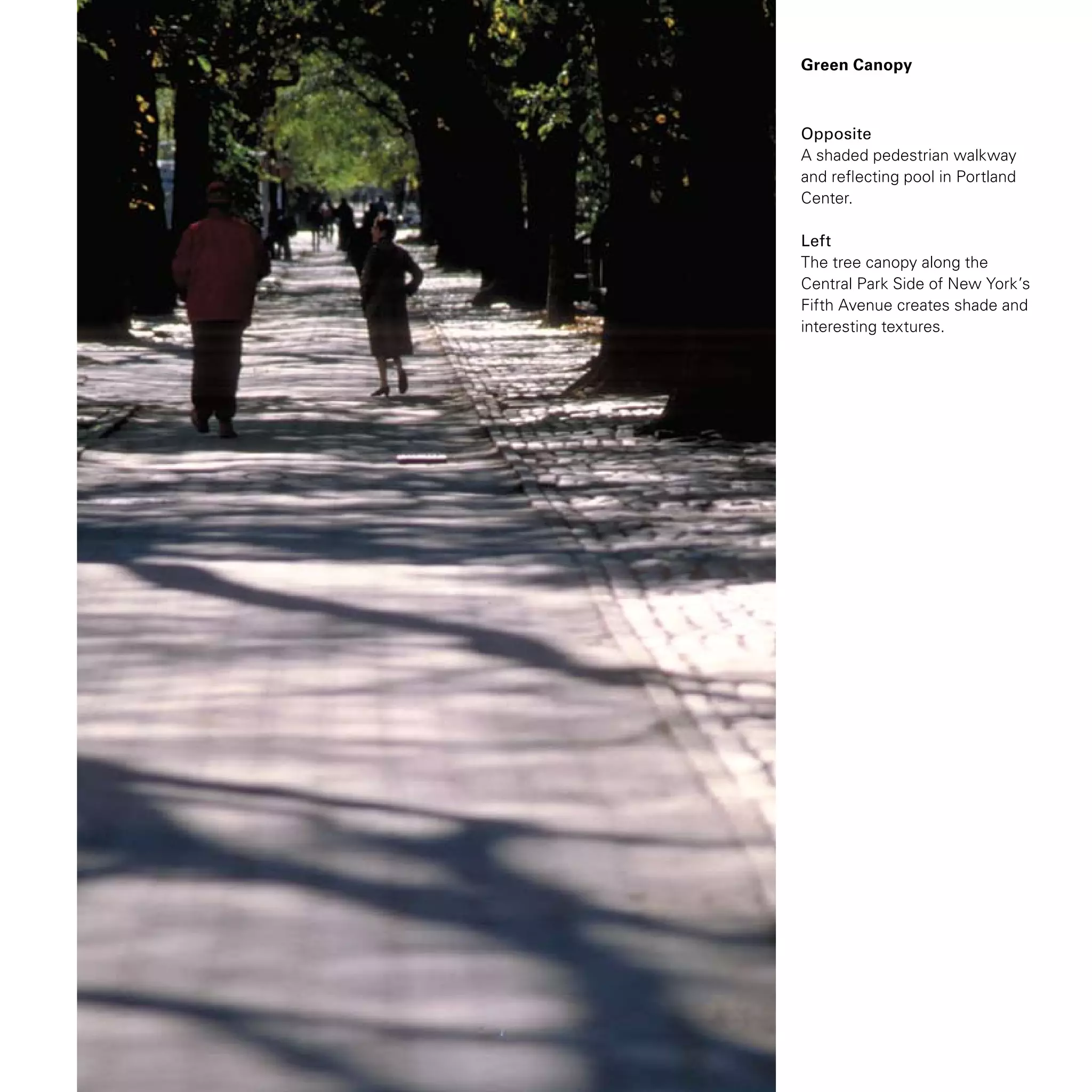 Green Canopy
Opposite
A shaded pedestrian walkway
and reflecting pool in Portland
Center.
Left
The tree canopy along the
Central Park Side of New York’s
Fifth Avenue creates shade and
interesting textures.
 