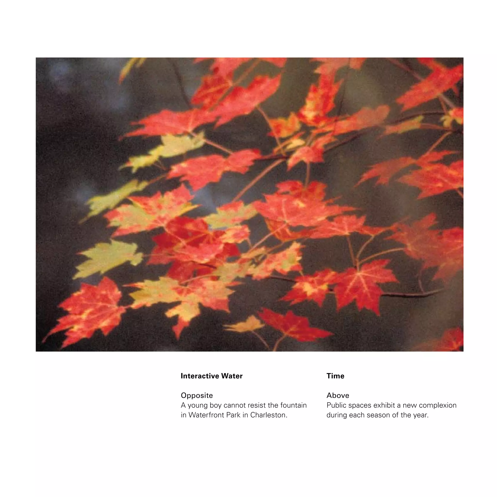 Interactive Water
Opposite
A young boy cannot resist the fountain
in Waterfront Park in Charleston.
Time
Above
Public spaces exhibit a new complexion
during each season of the year.
 