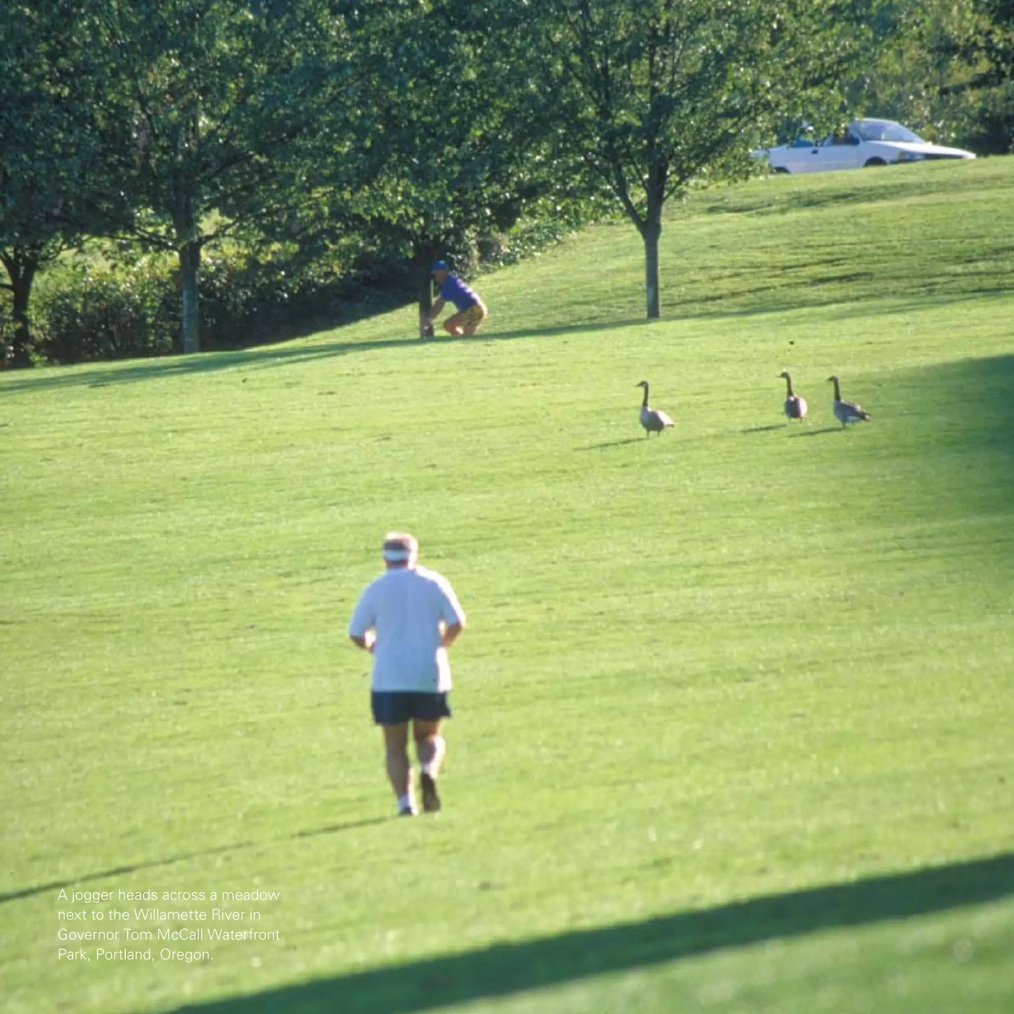 A jogger heads across a meadow
next to the Willamette River in
Governor Tom McCall Waterfront
Park, Portland, Oregon.
 